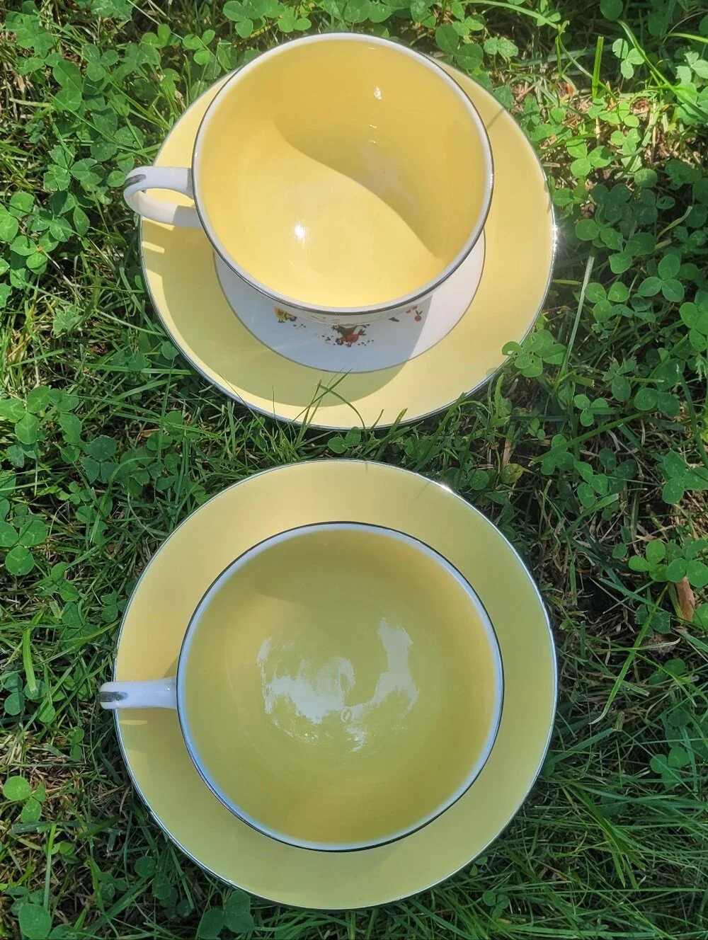 Dutch Farmer Tea Cups & Saucer Plate Set Farmhouse Farmers Wife Cottagecore
